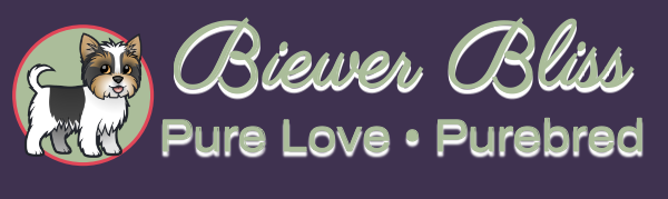 Biewer Bliss Logo